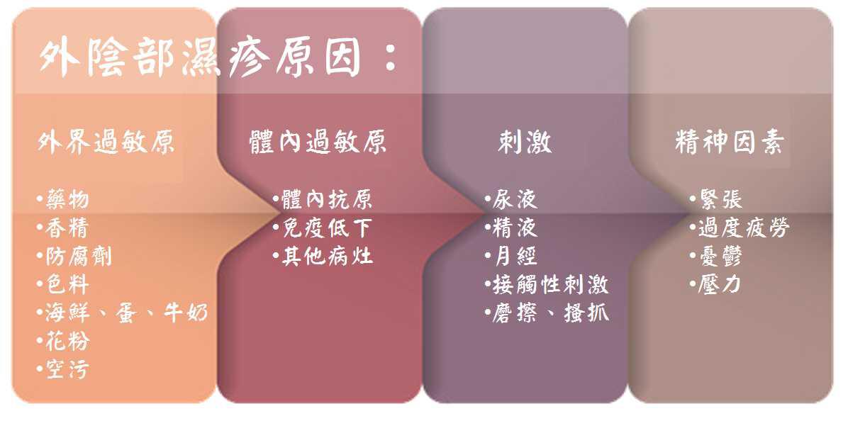 女童　小陰唇 
